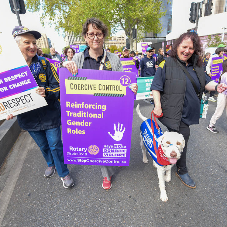 Assistance Dog Walking